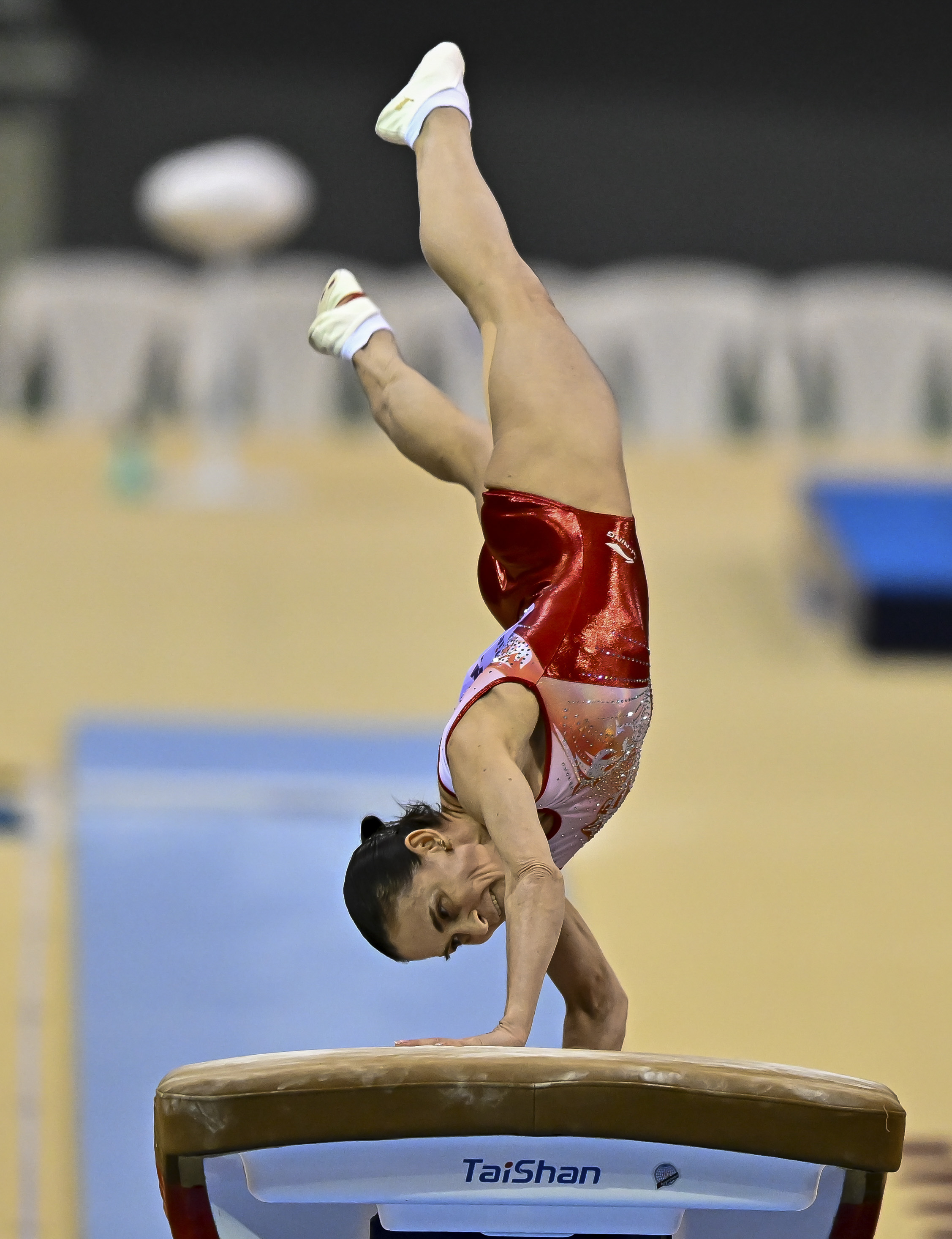 包含加拿大体操选手出色表现，大放异彩的词条