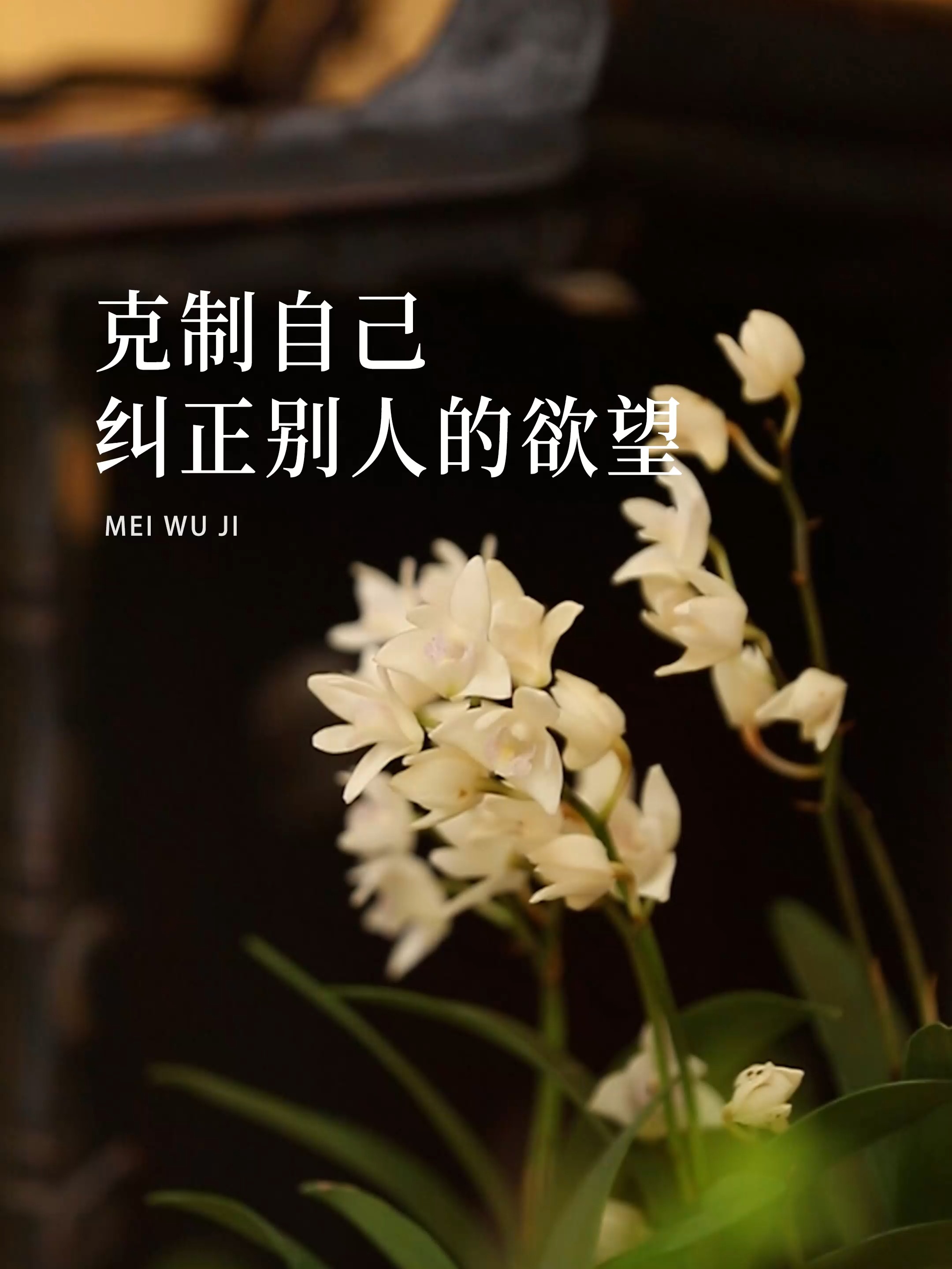 无私奉献的求胜欲望让人拭目以待的简单介绍