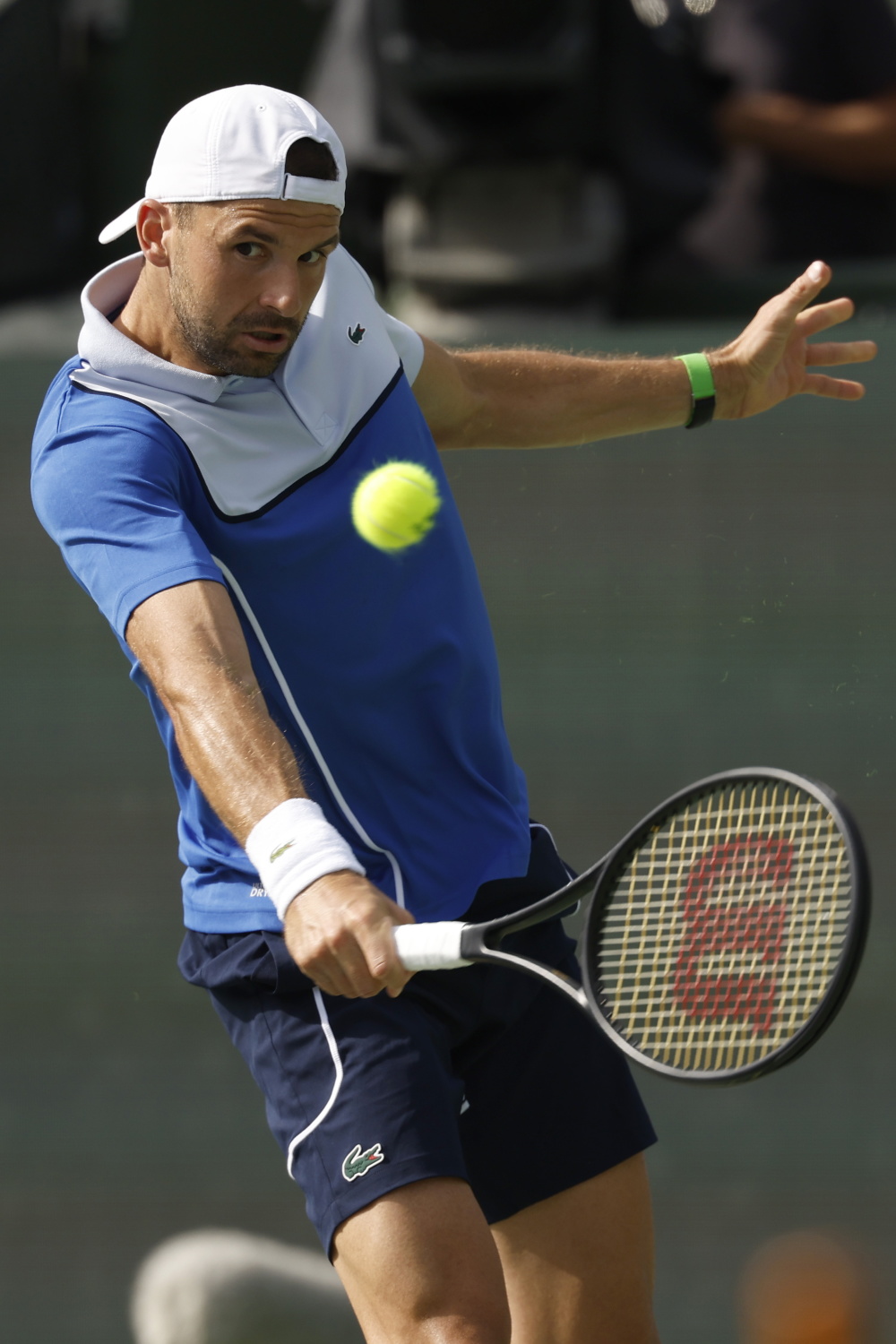 英国网球队绝杀西班牙网球队，梅德韦杰夫惊艳世界的简单介绍