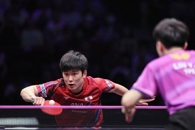 英格兰队险胜中国队，张本智和状态火热