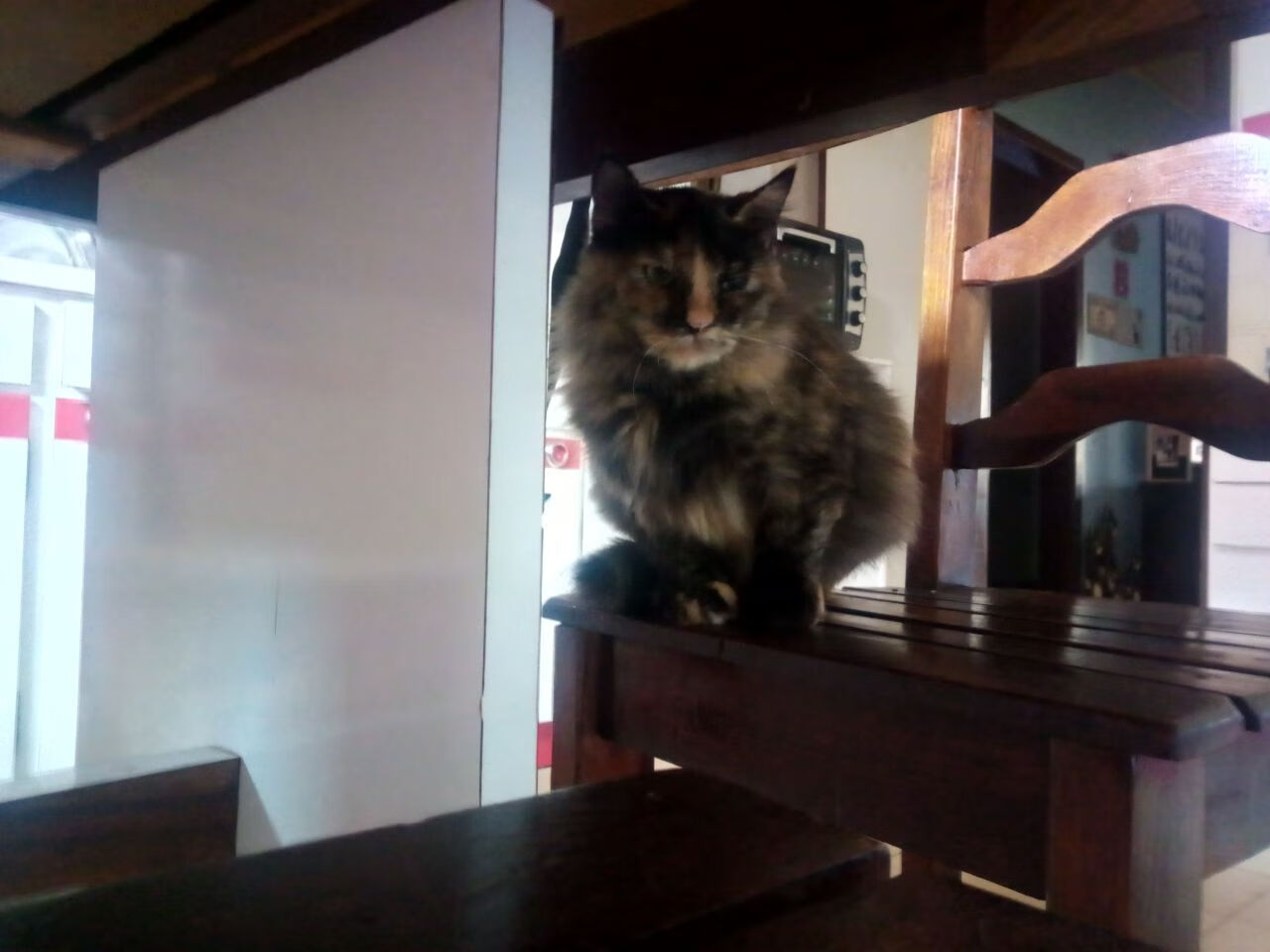 2026世界杯焦点战,法国狂风席卷,巴黎黯然失色