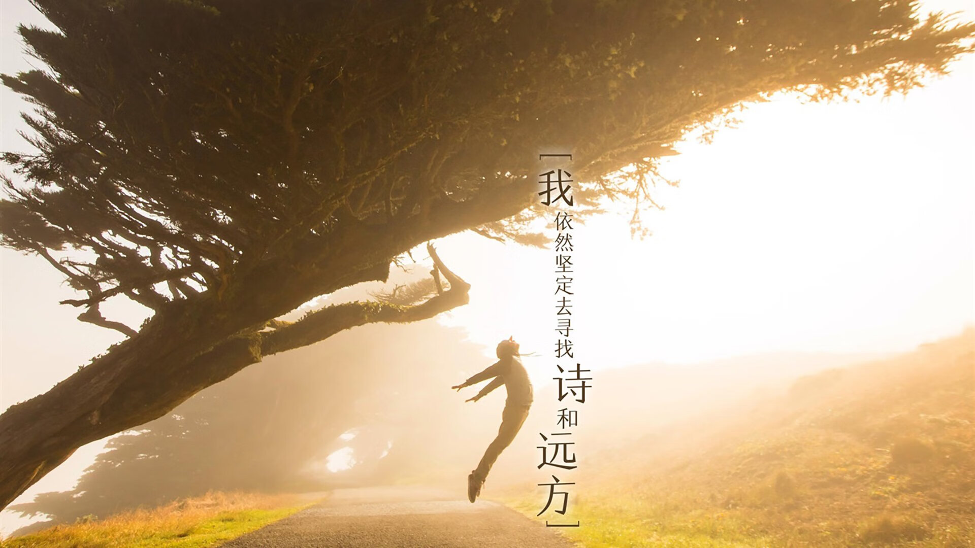 莱万闪电战让比赛早早失去悬念,威尔士稳健拿下牙买加巩固胜局