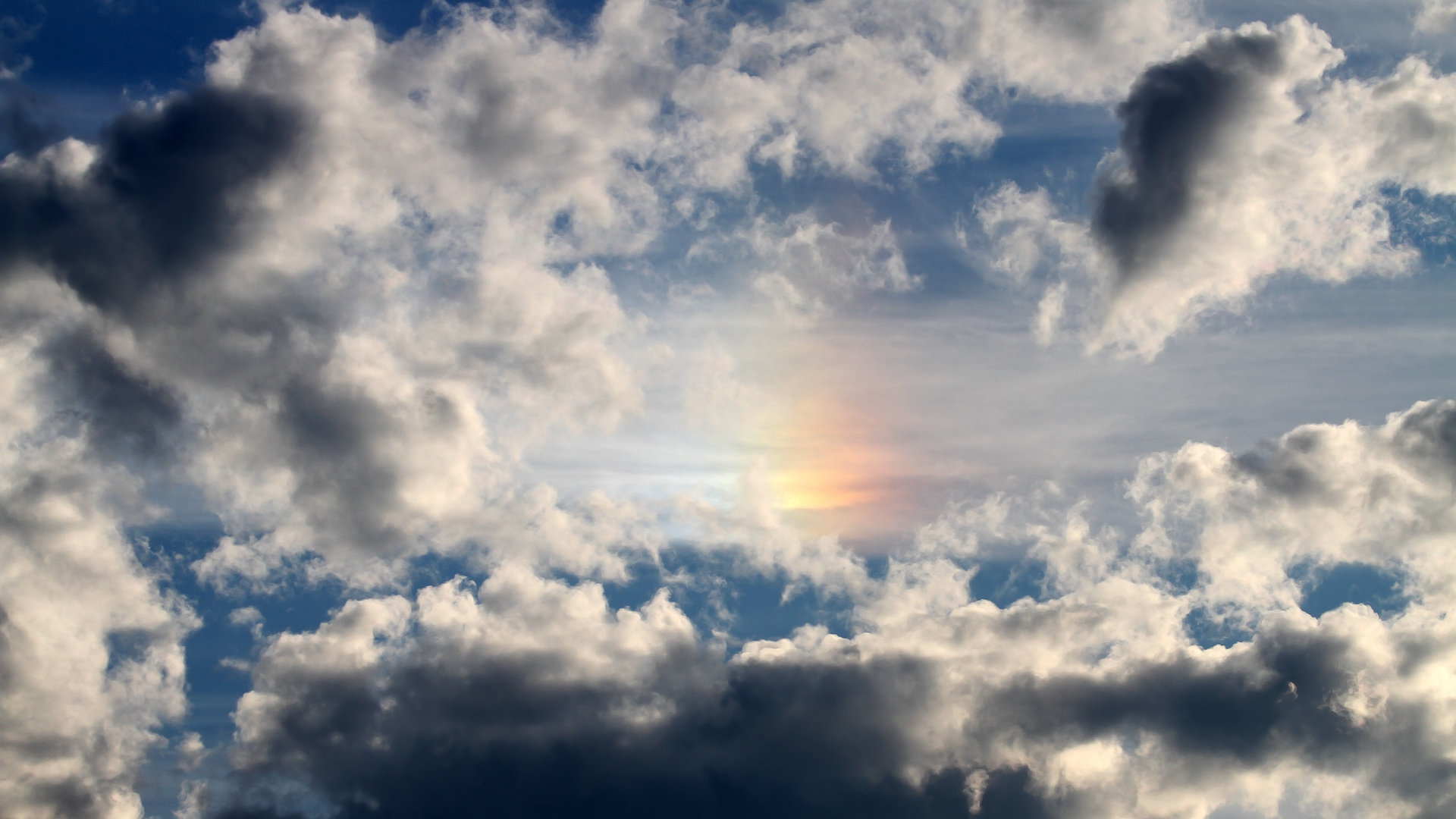 猛龙对阵浙江队，切特进攻端无人可挡，一场跨国对决的启示录