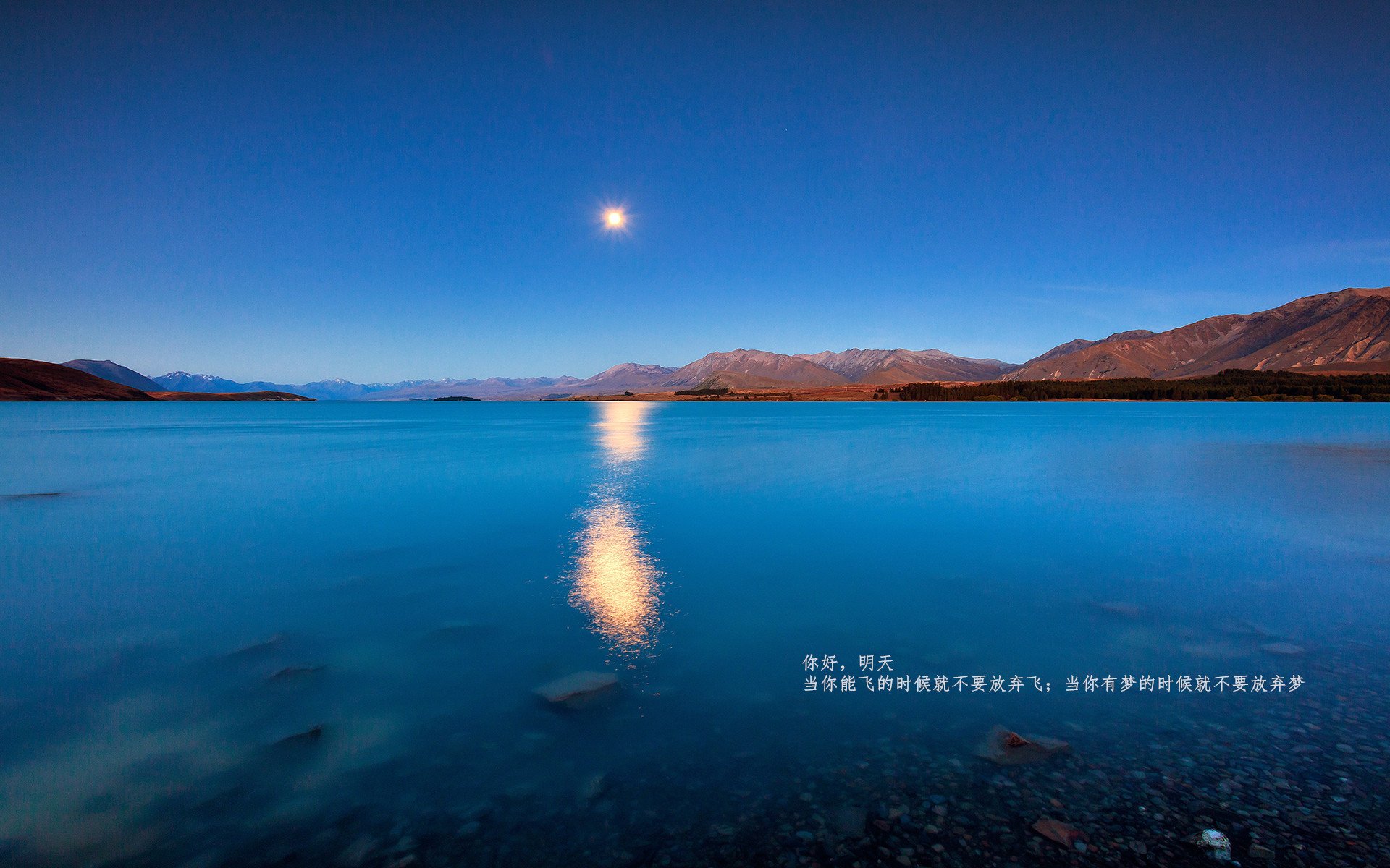 沙漠雄鹰智擒美洲豹,无名中场斯通斯导演战术奇迹