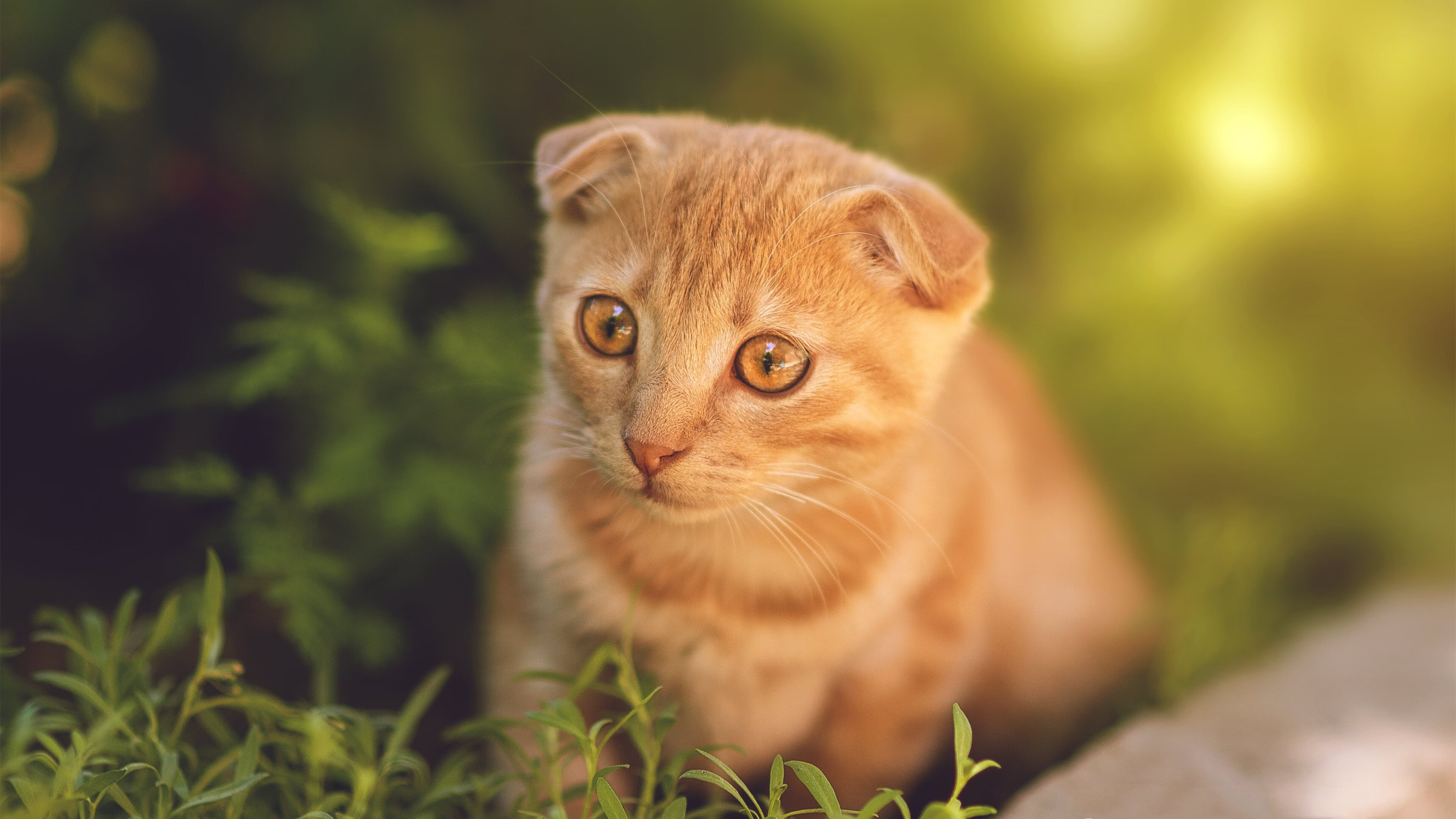 巴黎前夜的巨人身影，恩比德关键制胜点燃奥运周期