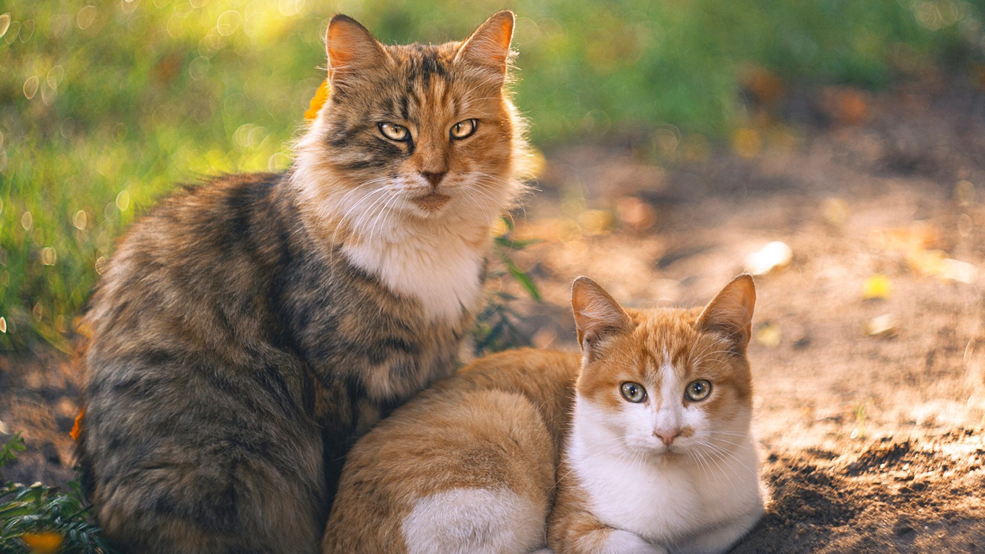 不设防的边疆与绿茵铁幕，当萨拉赫刺穿终场哨音