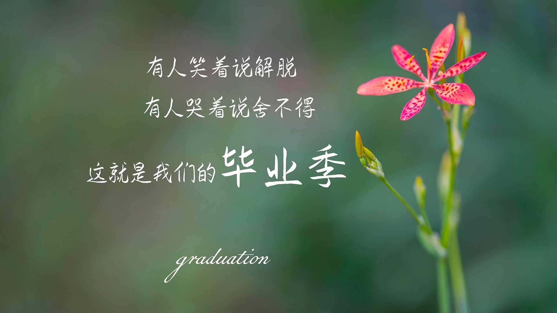 钢铁洪流与极夜流星,公牛制霸奇才背后的爱德华兹冠军级宣言