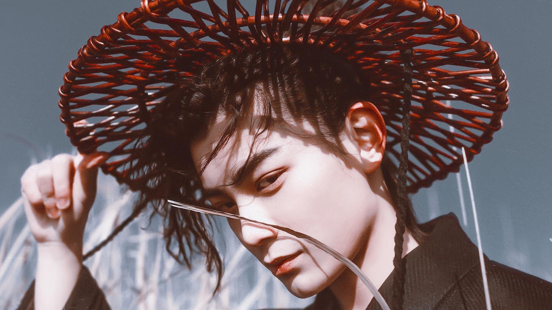 本泽马爆发与厄瓜多尔的战术压制，足球场上的双重震撼