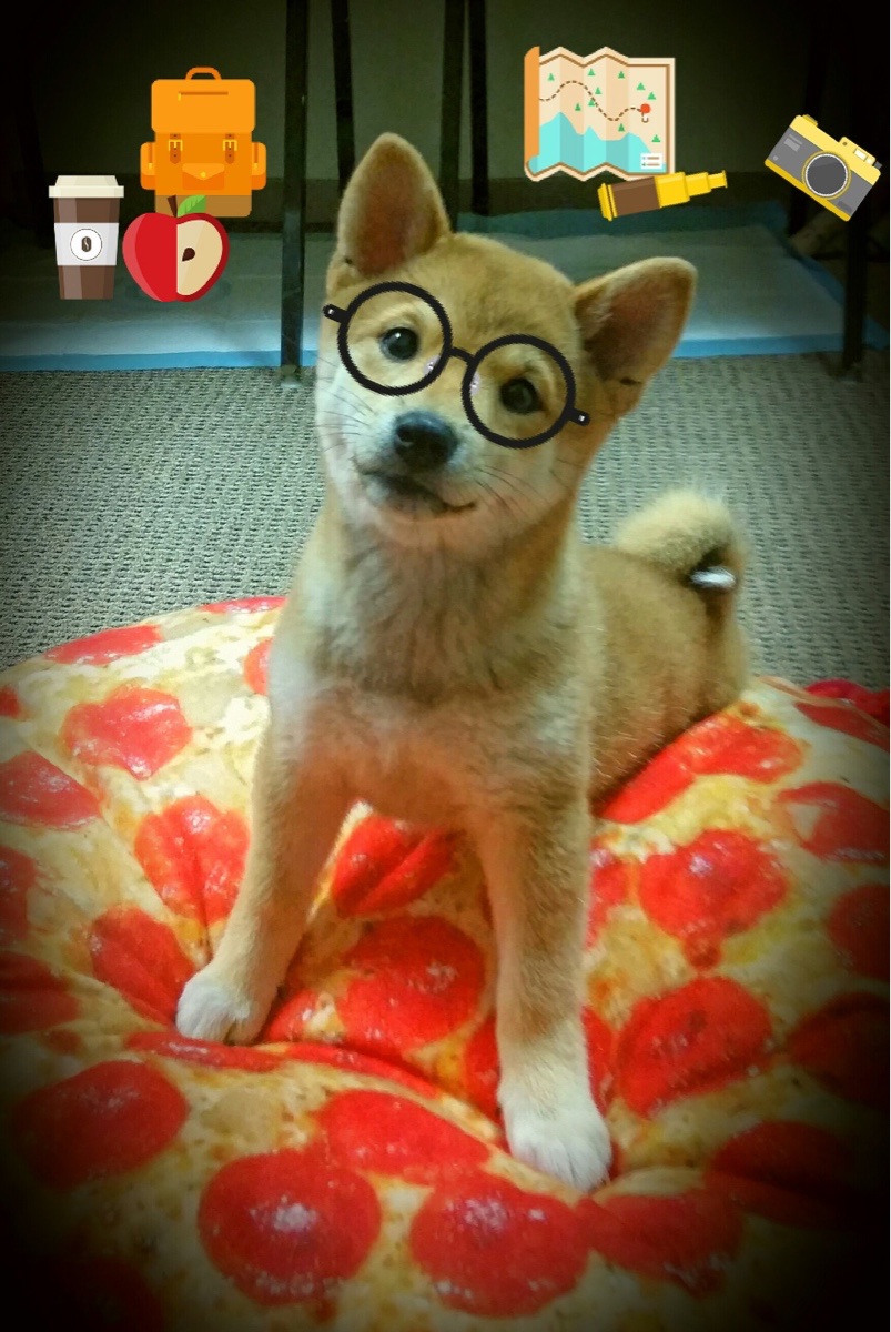 冰与火之歌，欧冠淘汰赛的烈焰与猛龙横扫独行侠的寒霜