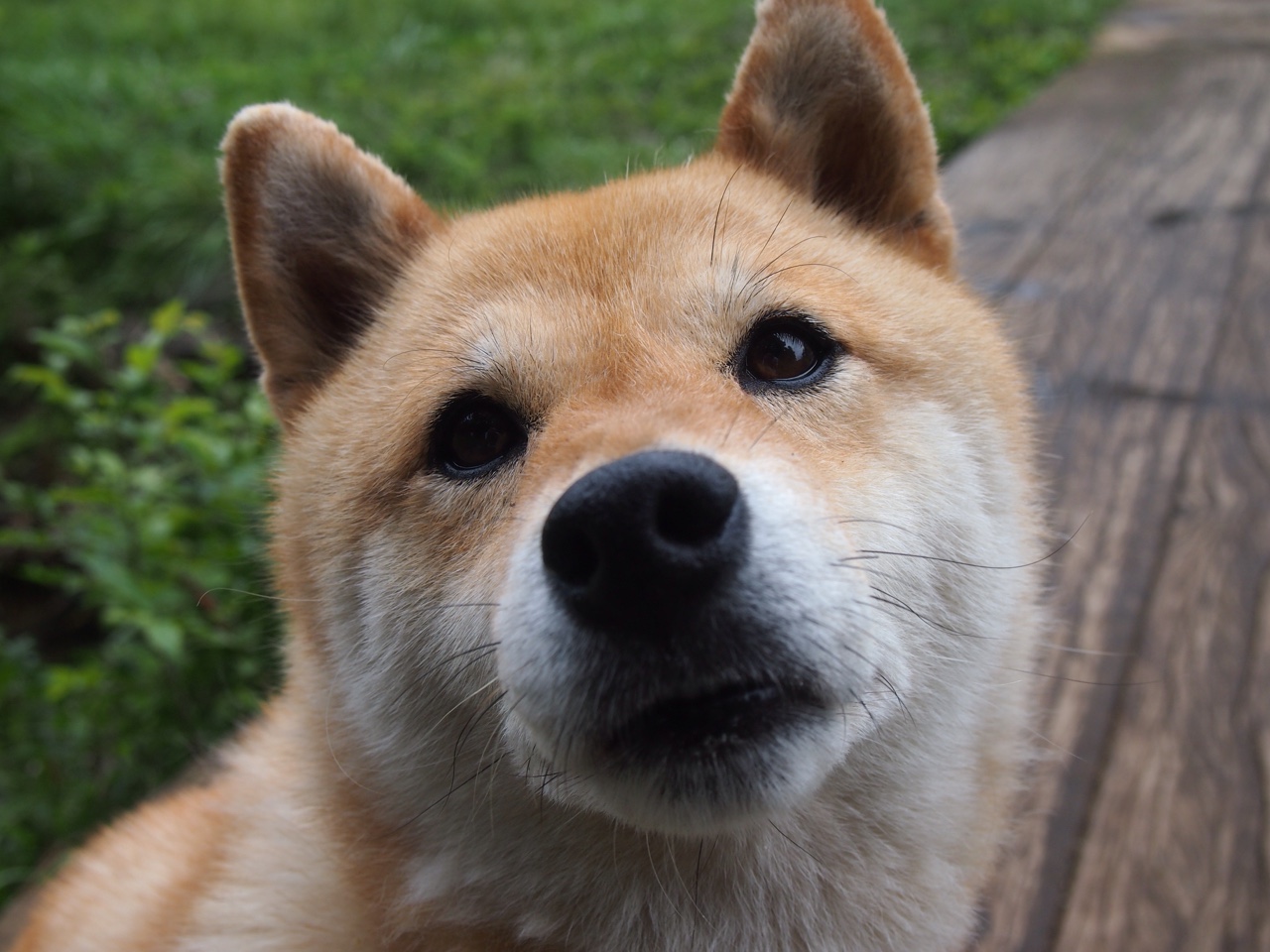 单骑碾碎悬念,阿什拉夫一己之力助巴拉圭战术碾压卡塔尔