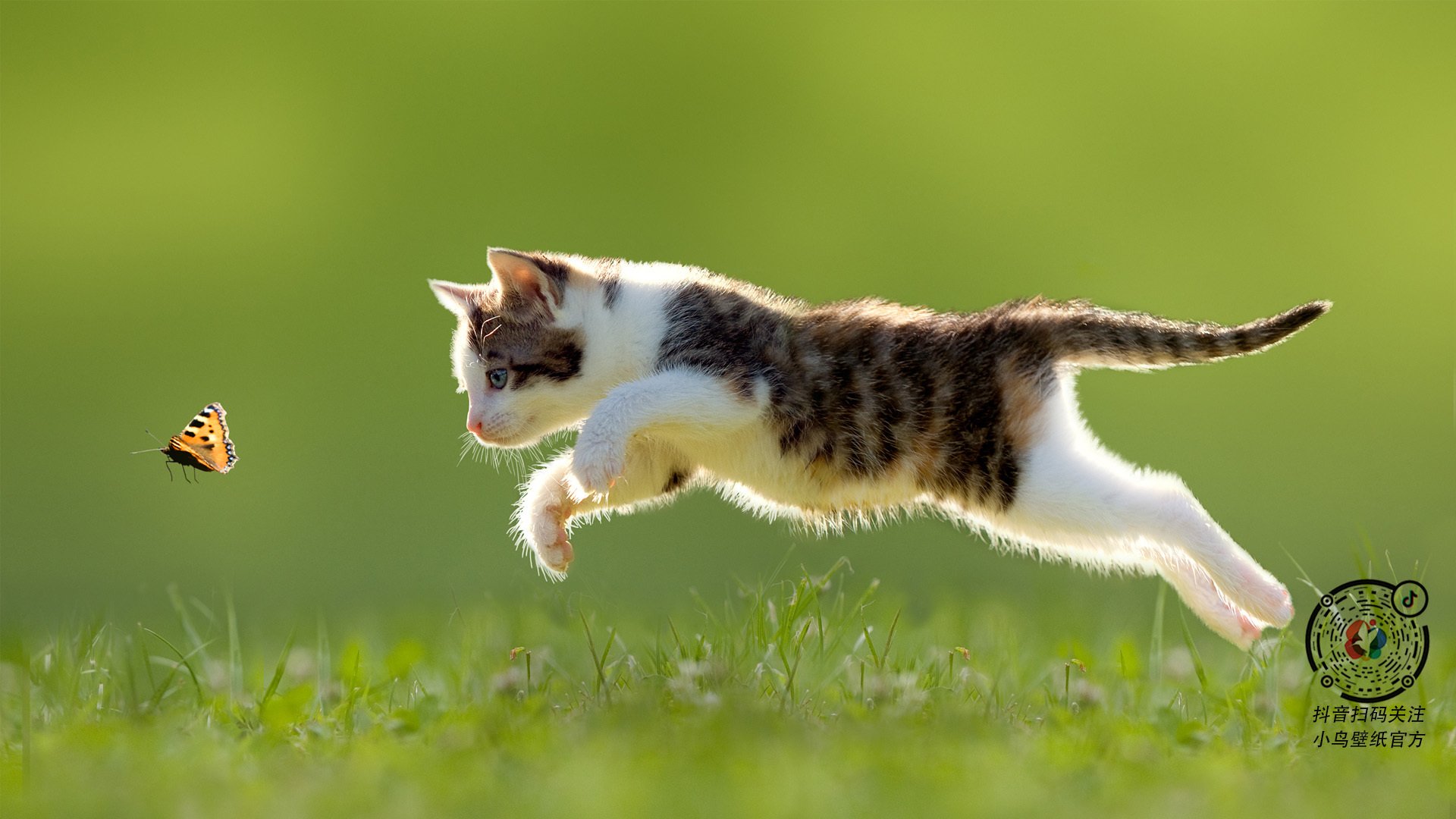 铁壁与魔法,当哥伦比亚的锁链遇见内马尔的冠冕