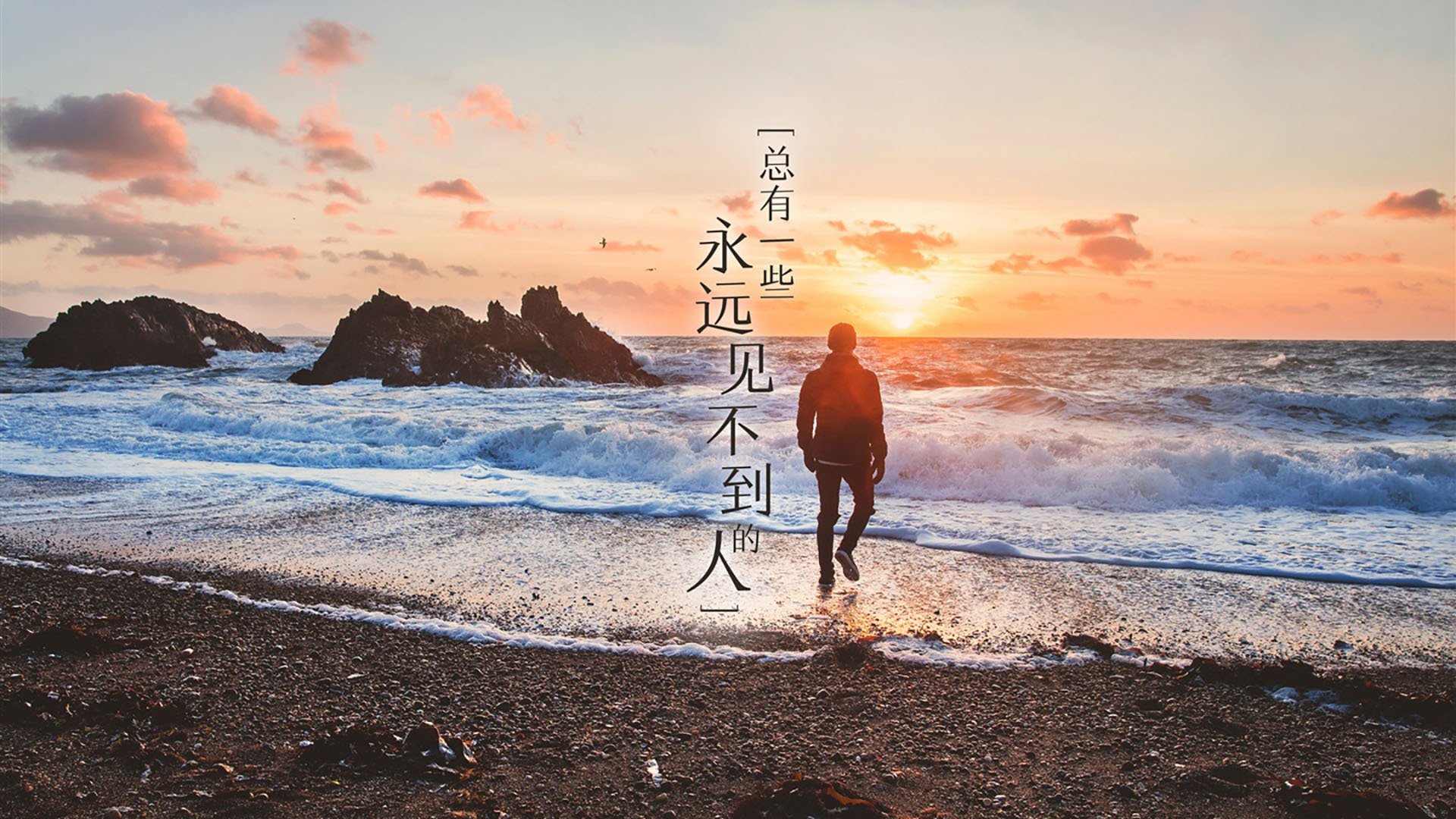 猛龙队总决赛焦点战大胜吉林队,展现冠军风范