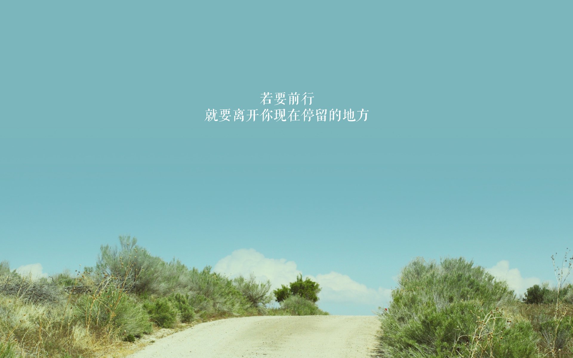 卡瓦哈尔爆发引领阿尔及利亚战术压制日本，绿茵赛场上的策略与荣耀