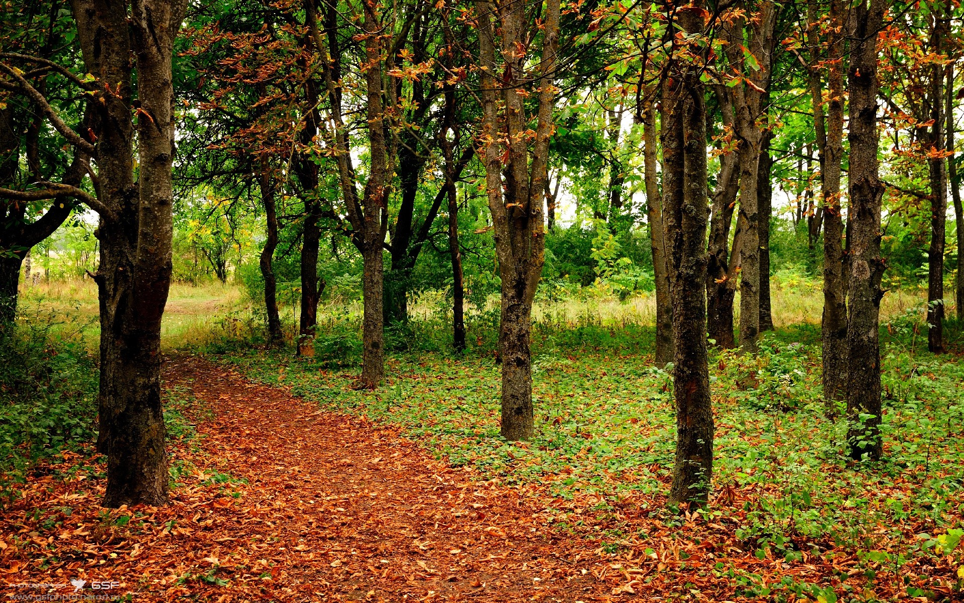 北京双城记，草根逆袭与巨星接管，篮球世界的两种胜利法则