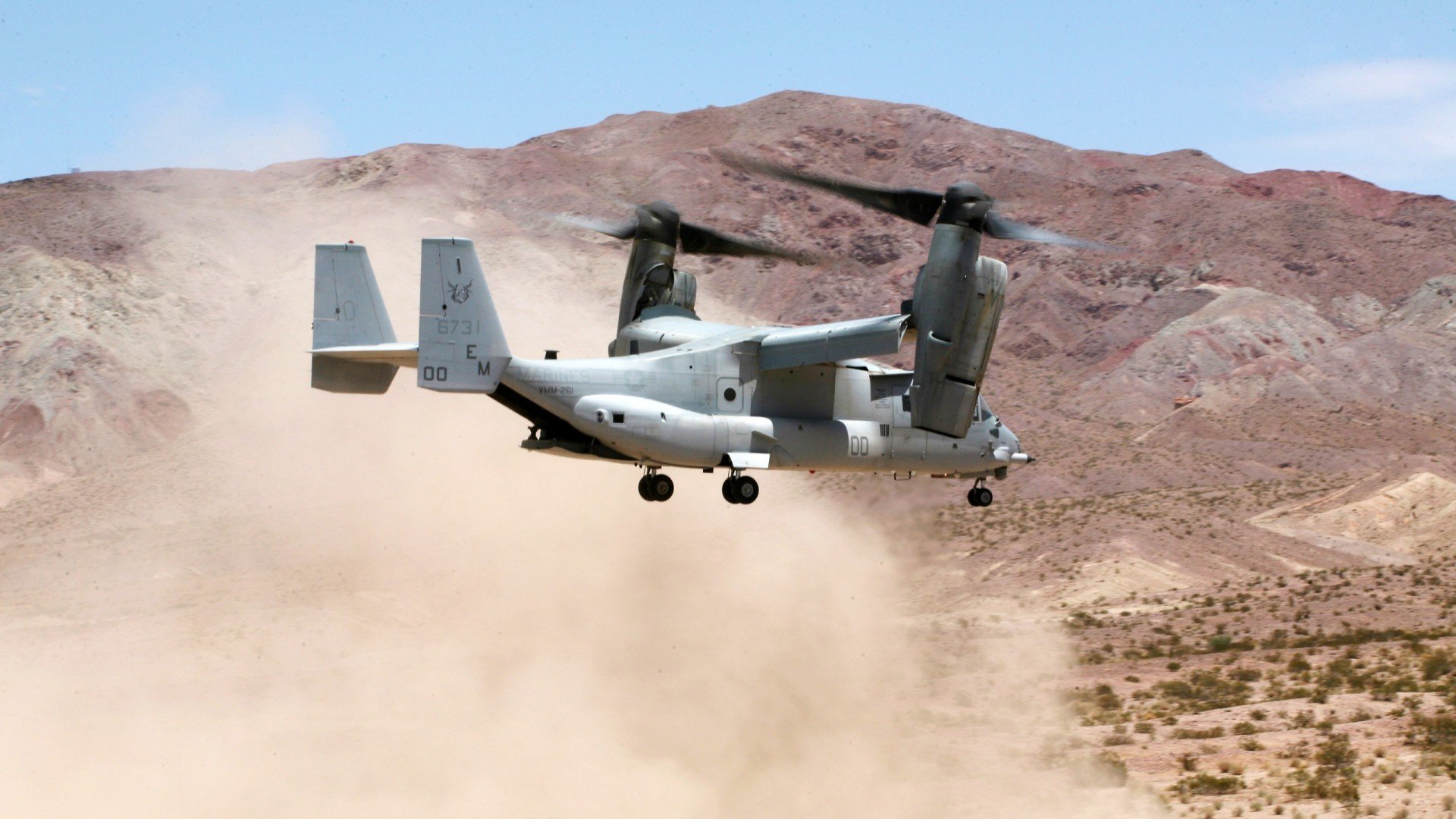 新大陆的馈赠,从洪都拉斯雨林到欧冠之巅的足球迁徙