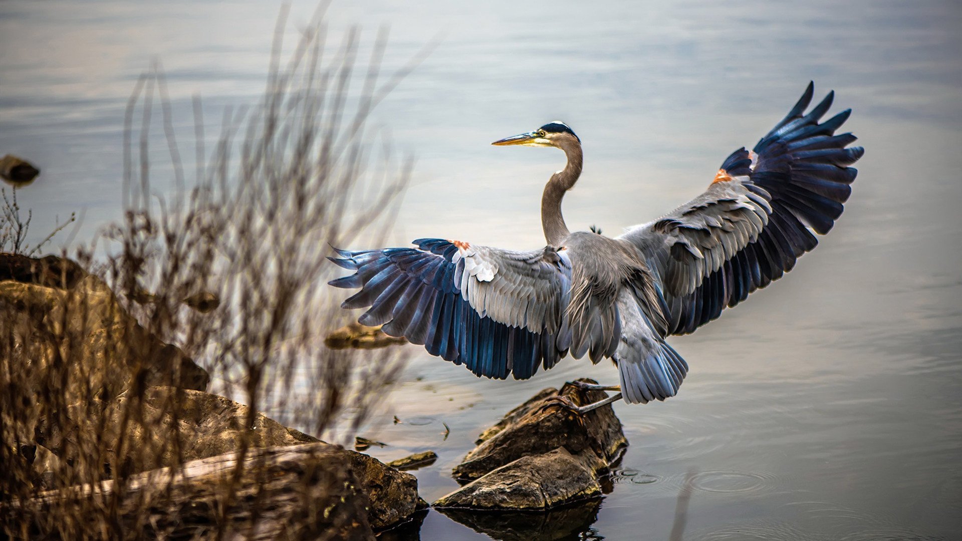 沉默的脊梁,霍勒迪如何在总决赛之夜扛起整个王朝的重量