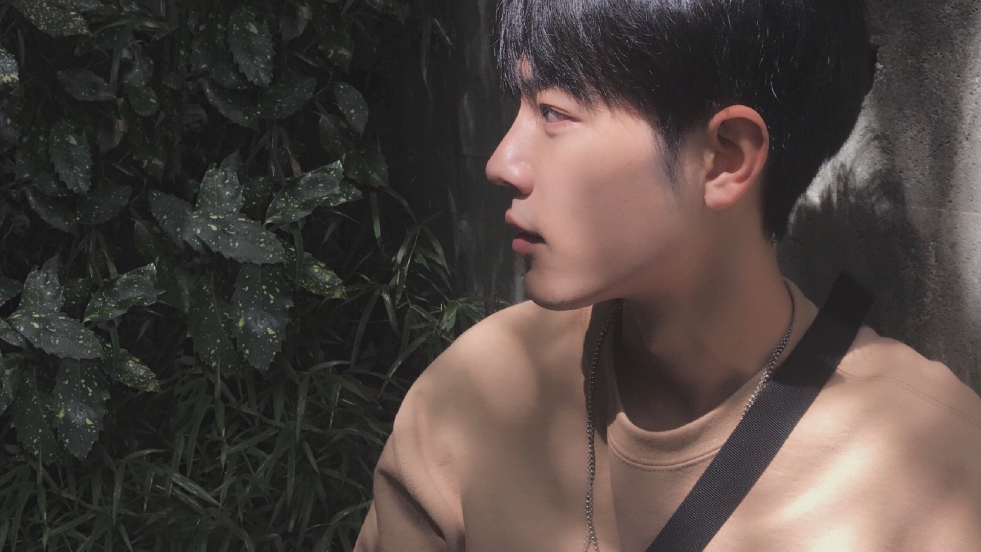 绿茵场上的基米希与贸易场上的日本，当个人英雄主义遭遇国家集体意志