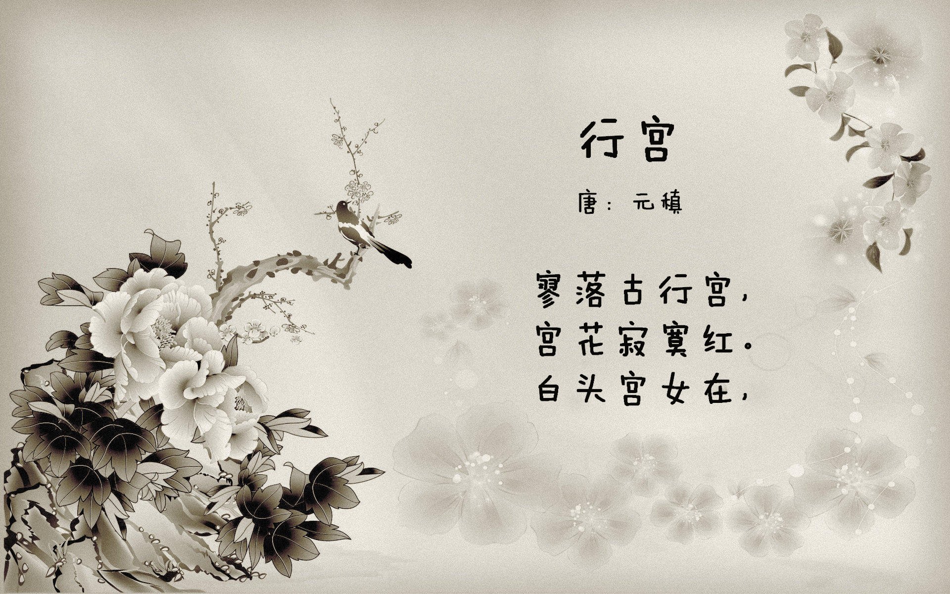 霍勒迪狂砍42分导演惊天逆转！辽宁队力克开拓者捍卫主场荣耀